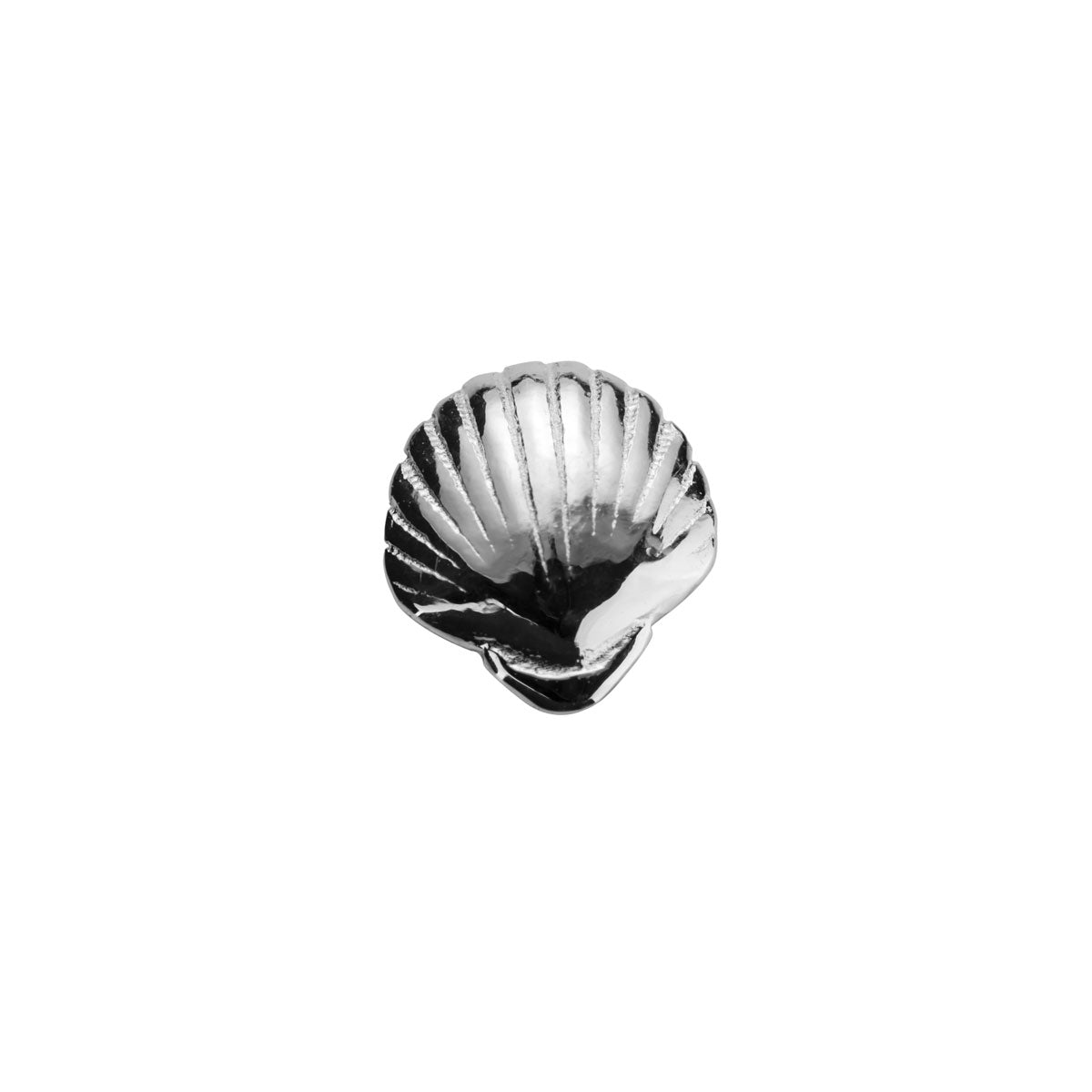 Silver Seashell - Precious