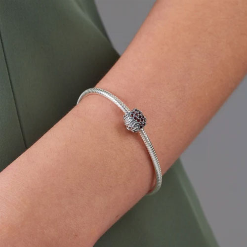 NZ Pohutukawa (Radiant)