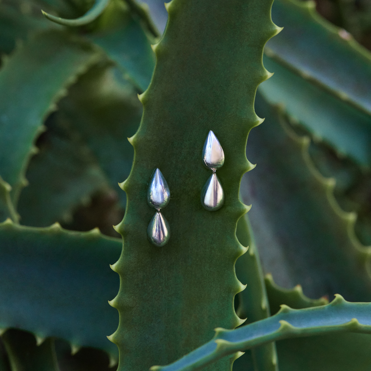 Liora Double Drop Stud Earring