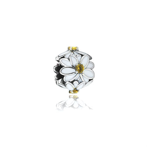 White Daisy (Cherished)
