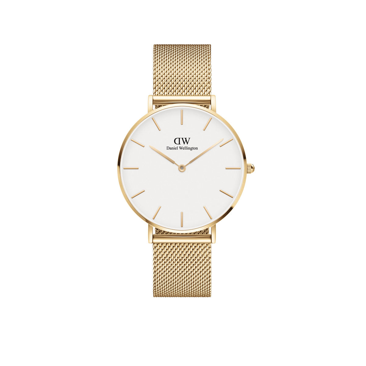 Petite 36mm Evergold - Gold & White Watch
