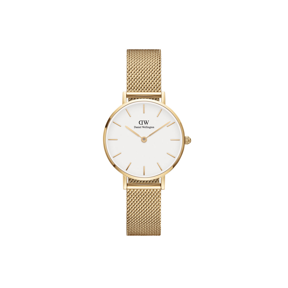 Petite 28mm Evergold - Gold & White Watch