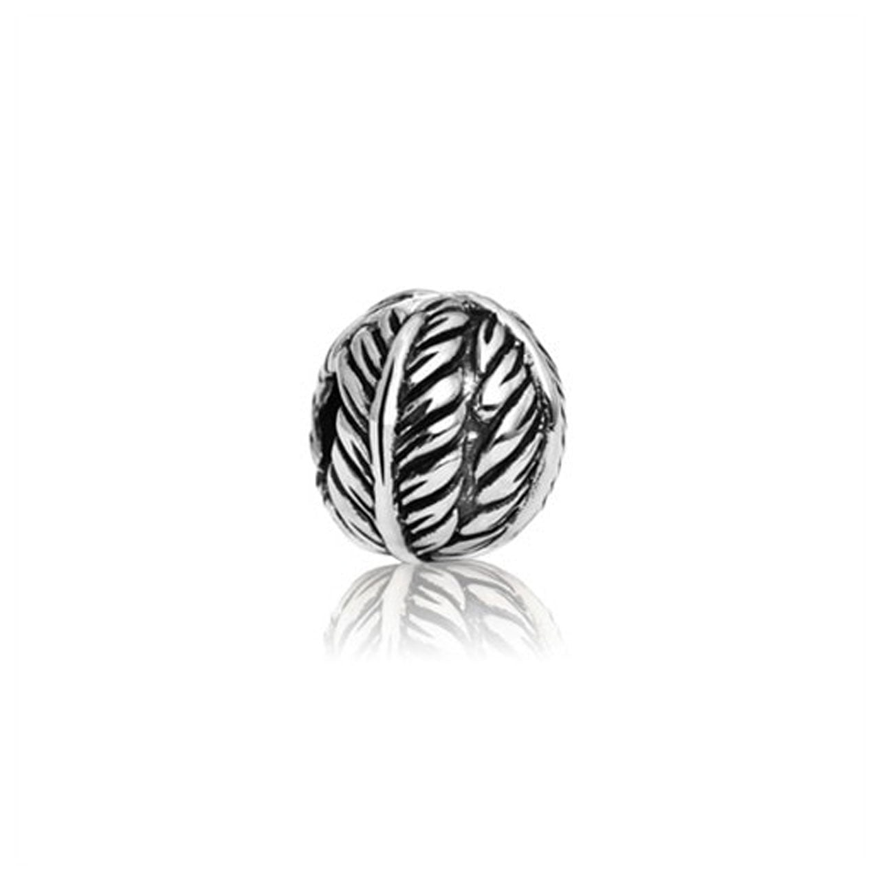 Evolve Friendship Fern