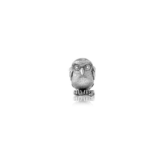 Ruru (Morepork) Charm