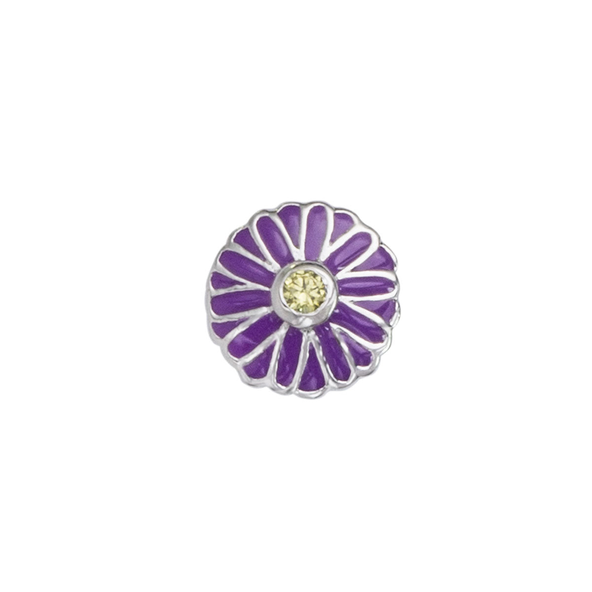 September - Aster Birthflower