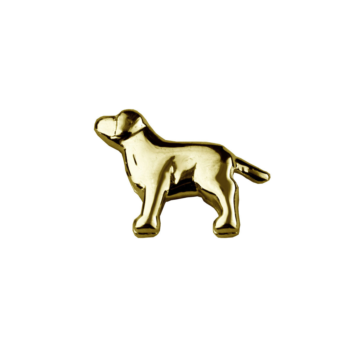 Gold Dog - Trusted
