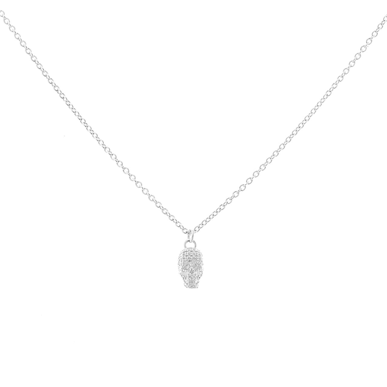 Dusted Skull Necklace (old)