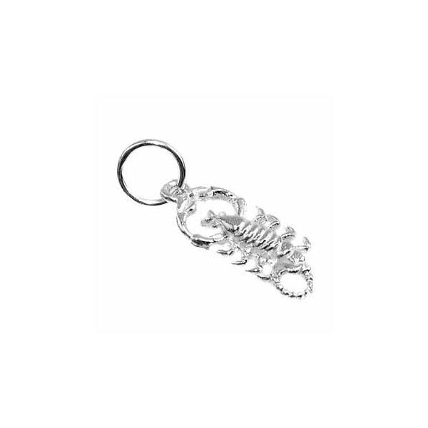 Scorpio Charm