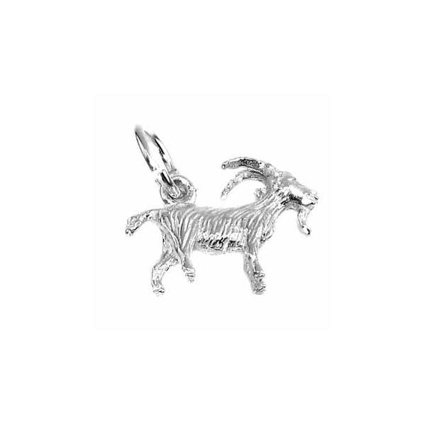 Capricorn Charm