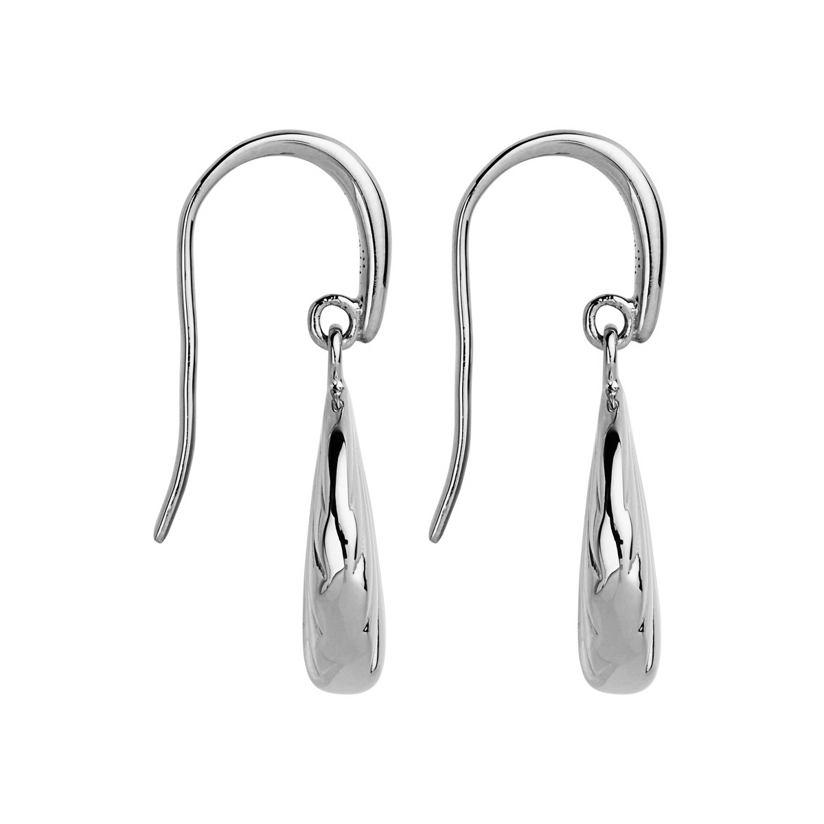 Seashell Earrings