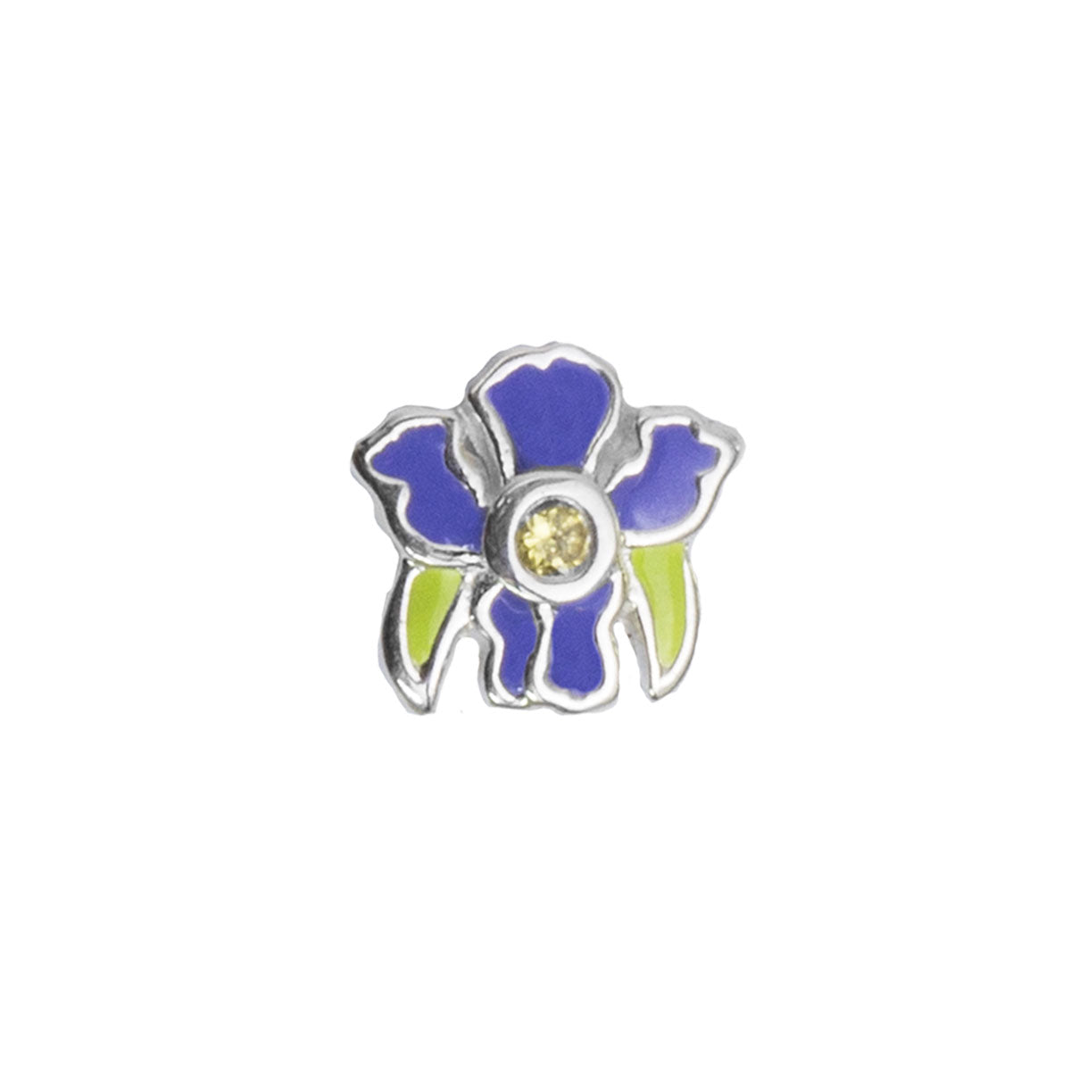 February - Iris Birthflower