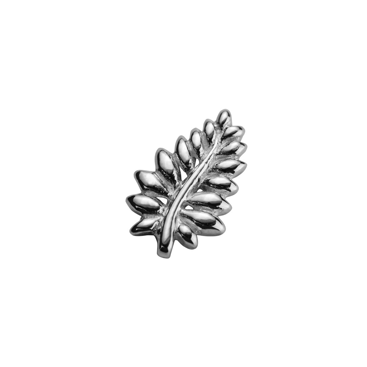 Silver NZ Fern - Loyal