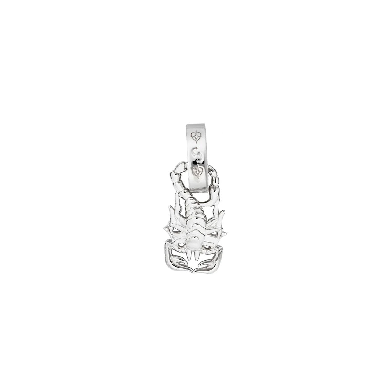 Scorpion Charm
