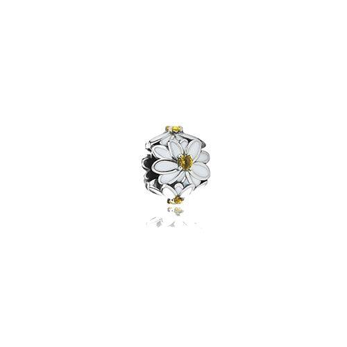 White Daisy (Cherished) - Jamies Jewellers