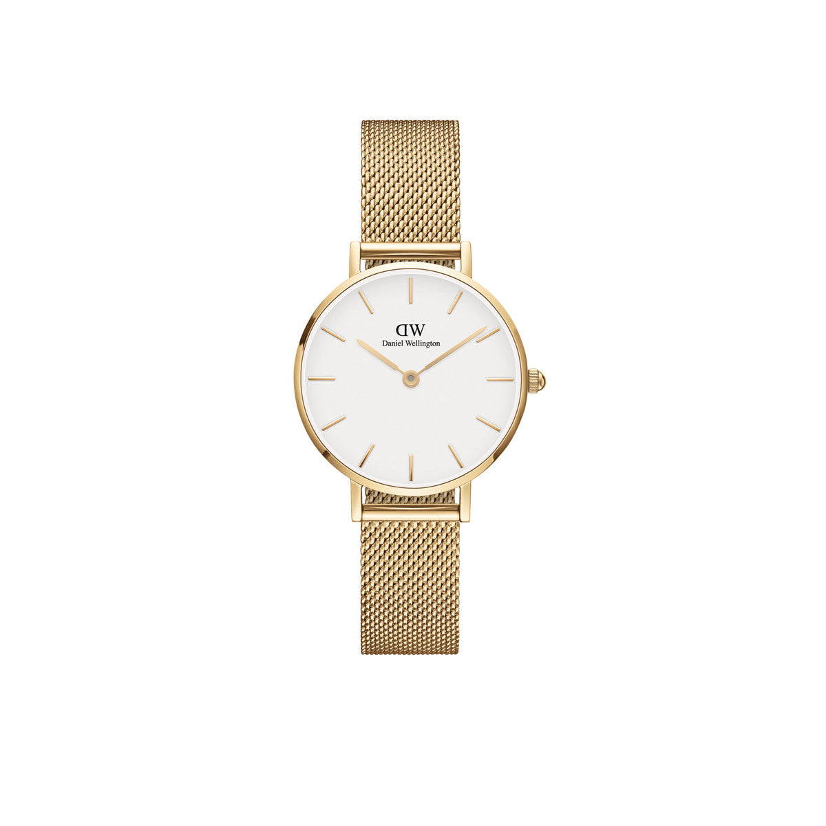 Petite Evergold 28mm - Gold & White Watch