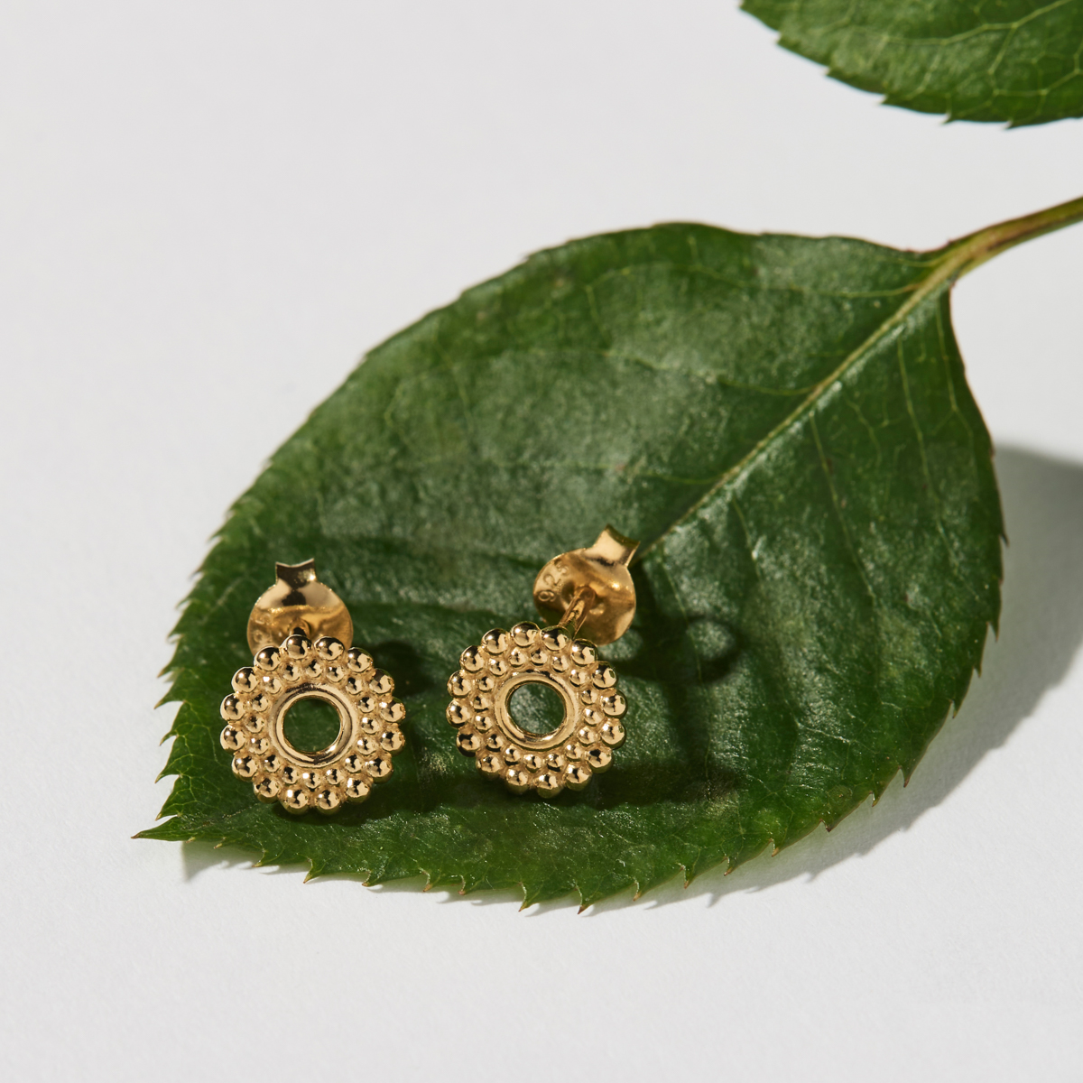 Nectar Stud Earrings - Gold Plated