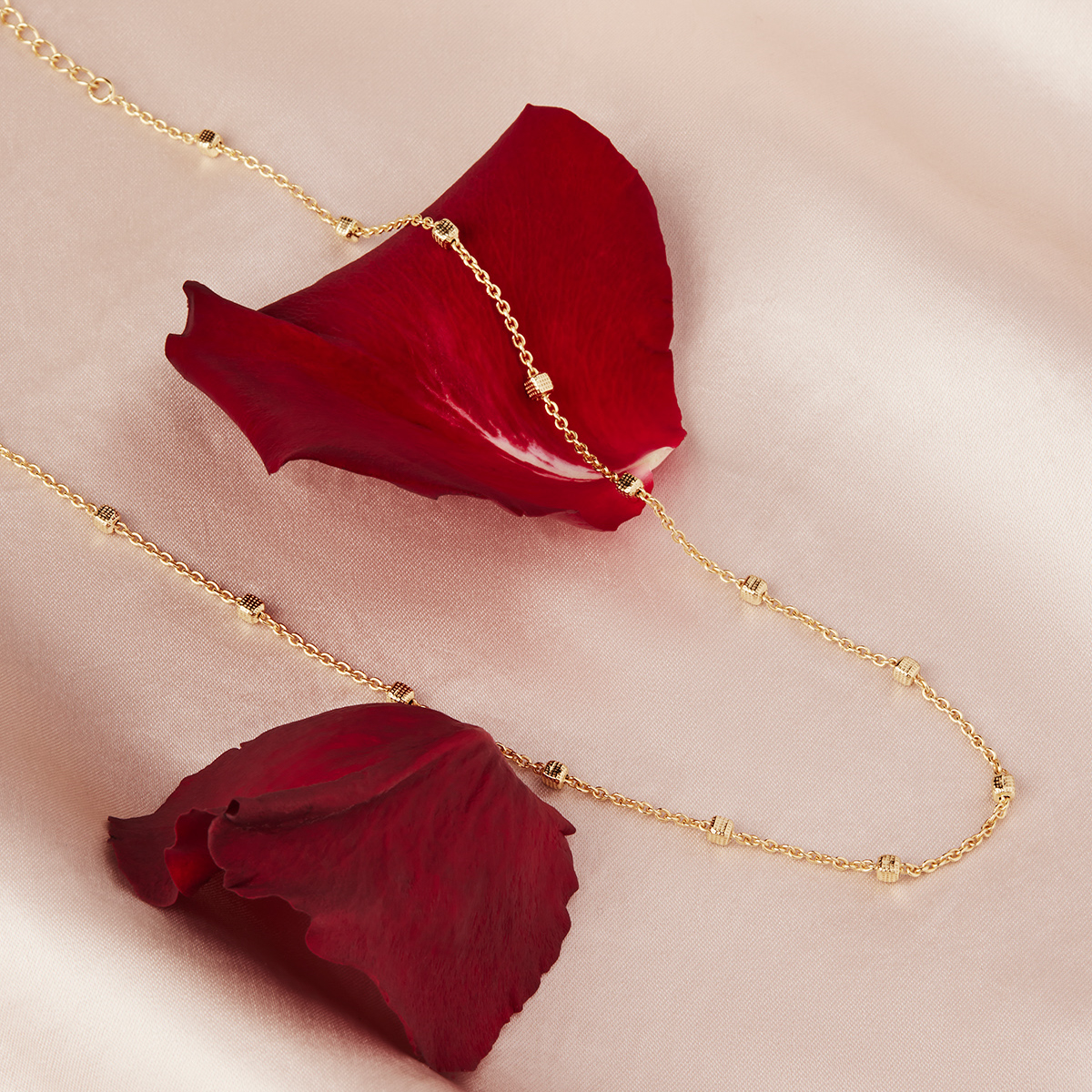 Birdsong Chain Necklace (45cm + 5cm ext) - Gold Plated