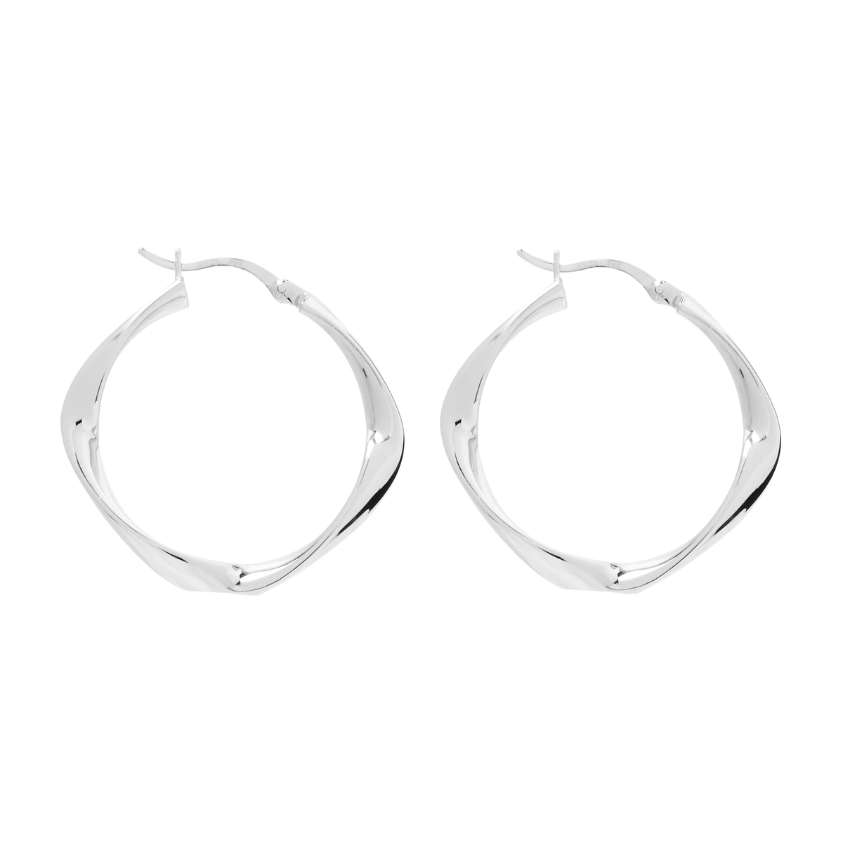 Garden of Eden Silver Hoop Earrings