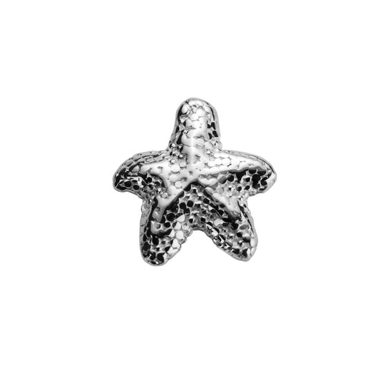 Silver Starfish - Unique