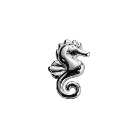 Silver Seahorse - Enchanted