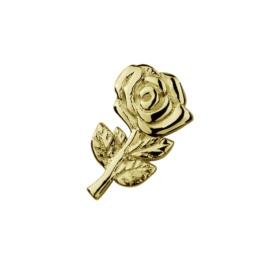 Gold Rose - Enchanting