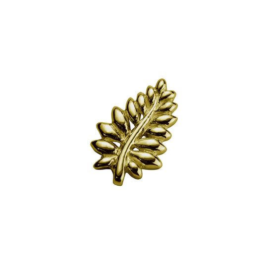 Gold NZ Fern - Loyal