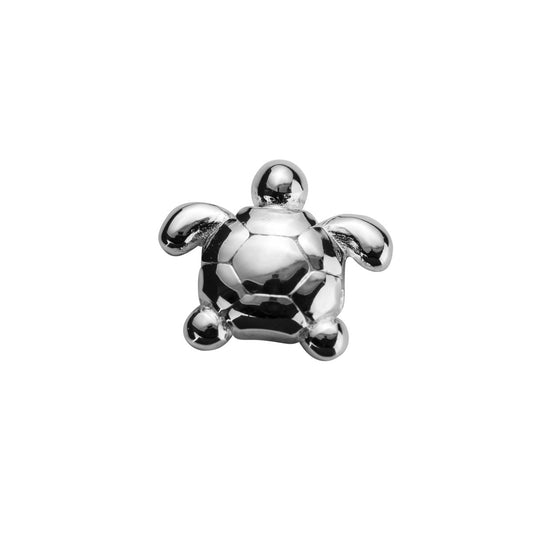 Silver Turtle - Determined