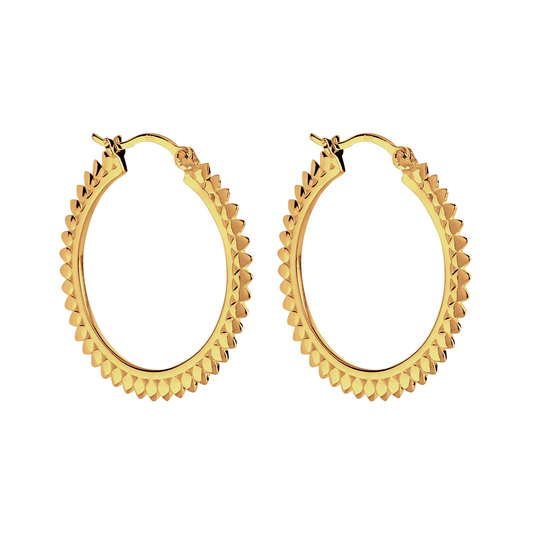 Radiance Hoop Earrings - Gold Plated