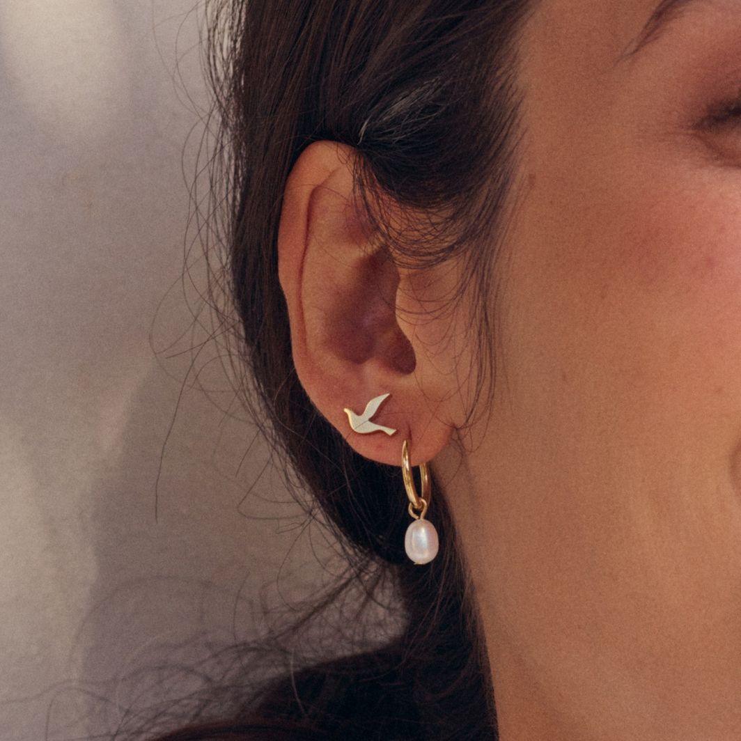Dove Studs Small Gold - Jamies Jewellers