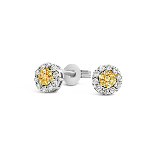 9k Yellow & White Gold Diamond Cluster Stud Earrings