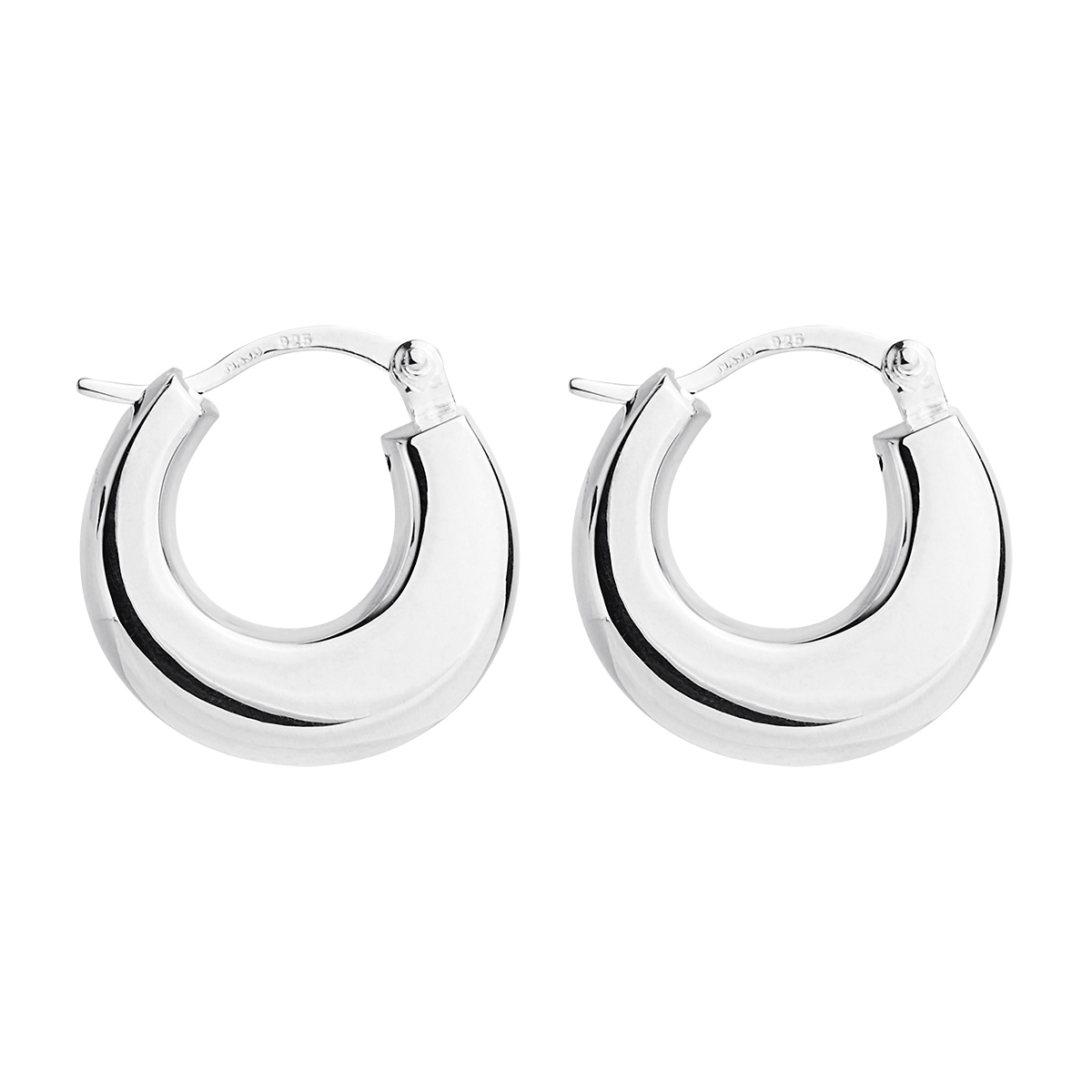 Encircle Hoop Earrings